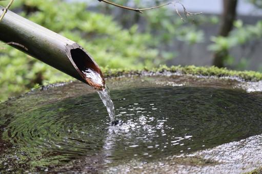 竹製のつくばいと水の満たされた手水鉢 竹製のつくばいと水の満たされた手水鉢 竹製,つくばい,水の写真素材