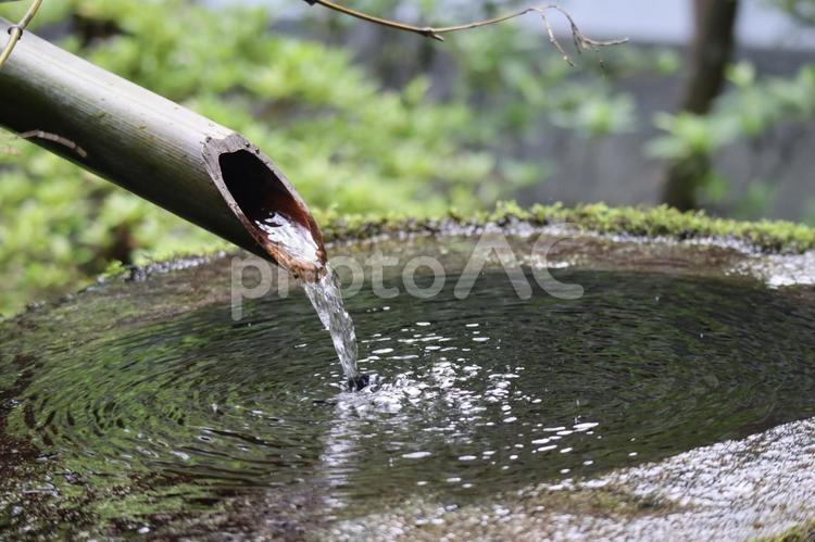 竹製のつくばいと水の満たされた手水鉢 竹製,つくばい,水の写真素材