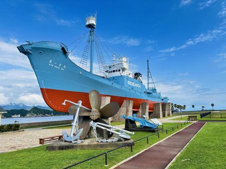 太地町立　くじらの博物館付近 クジラ,哺乳類,空の写真素材