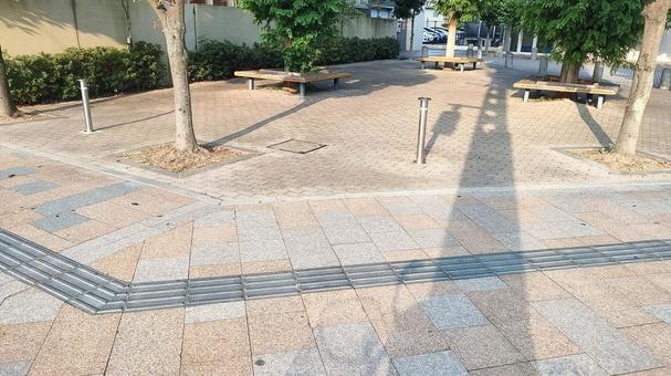 公園 公園の写真