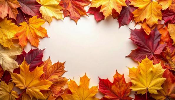 秋の紅葉のフレーム もみじメイン 秋の紅葉のフレーム もみじメインの写真