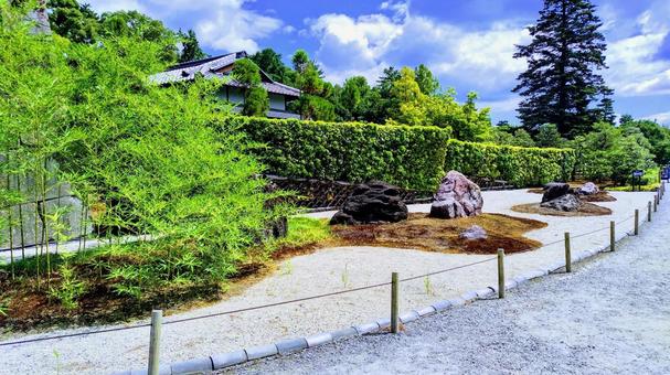 二条城の庭 二条城の庭 二条城,空,夏の写真素材