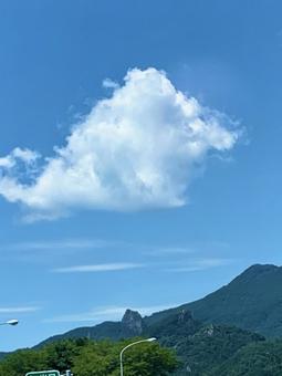 夏の自然 ぽっかり浮かぶふわふわ雲風景 夏の自然 ぽっかり浮かぶふわふわ雲風景の写真
