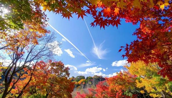 秋の紅葉と青空の自然のフレーム 秋の紅葉と青空の自然のフレームの写真