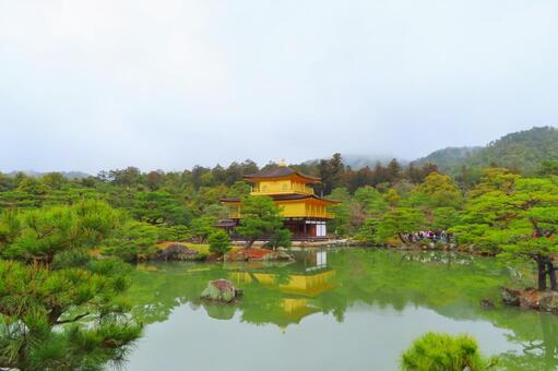 【京都】世界遺産金閣寺 金閣寺,京都,寺社仏閣の写真素材