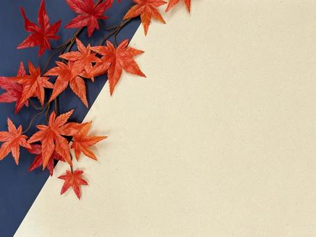 紅葉の背景 5 紅葉の背景 5 もみじ,紅葉,秋の写真素材