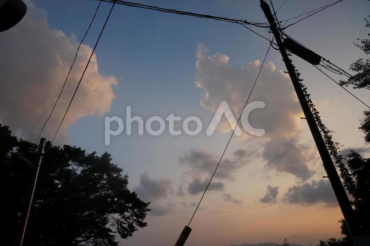 夏の夕暮れ 夕暮れ,伏見稲荷,風景の写真素材