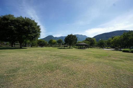 芝生広場 芝生広場の写真