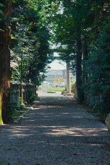 苗村神社 苗村神社 西本殿,西本宮,空の写真素材
