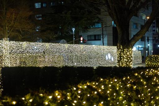 盛岡城址公園の冬のライトアップ 盛岡城址公園の冬のライトアップ 盛岡城址公園,ライトアップ,冬の写真素材