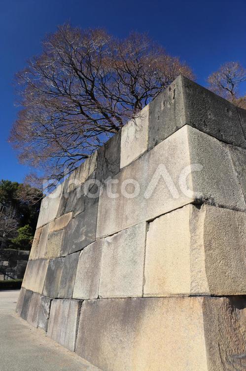 江戸城の石垣１ 江戸城,石垣,城の写真素材