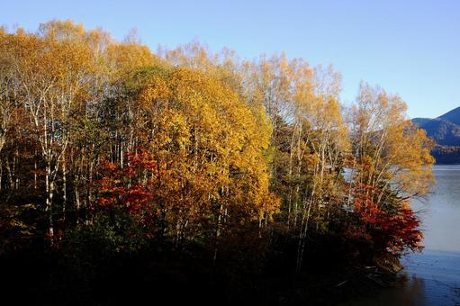 湖と紅葉 湖と紅葉の写真