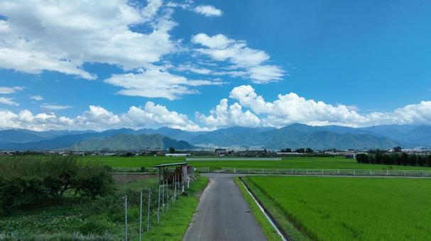 夏の原風景 夏雲,田んぼ,水田の写真素材
