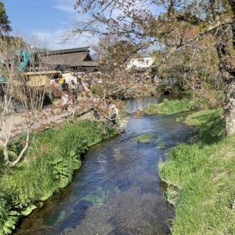 川 川の写真