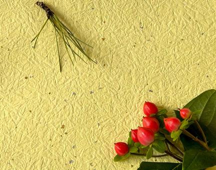 冬の彩　ヒペリカムと松の葉 正月,背景,和の写真素材