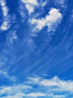 7月の青空と雲1 7月の青空と雲1の写真