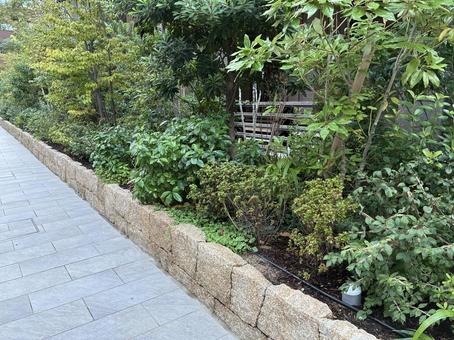 綺麗に手入れされた木の横道 綺麗に手入れされた木の横道の写真