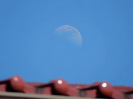 【風景写真】夏空 【風景写真】夏空の写真