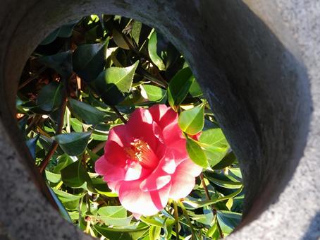 灯籠から 灯籠からの写真