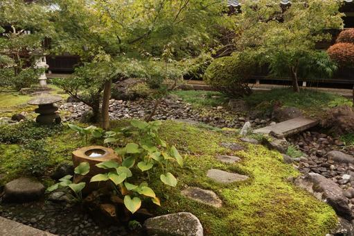 庭園 庭園,庭,新潟県の写真素材