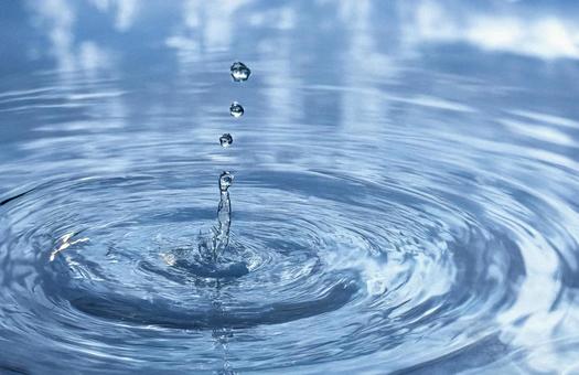水滴 水滴の写真