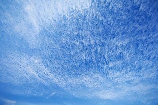 秋のうろこ雲と秋空 秋のうろこ雲と秋空の写真