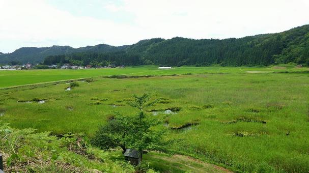 加田喜沼湿原の写真