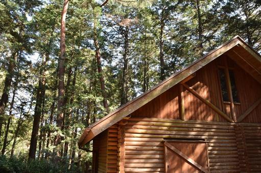 ログハウス 森林風景 ログハウス,ログホーム,ログキャビンの写真素材