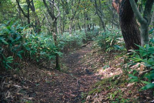 三瓶山の風景 しまね,登山,浸食の写真素材