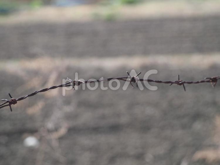 有刺鉄線 有刺鉄線,鉄条網,サビの写真素材