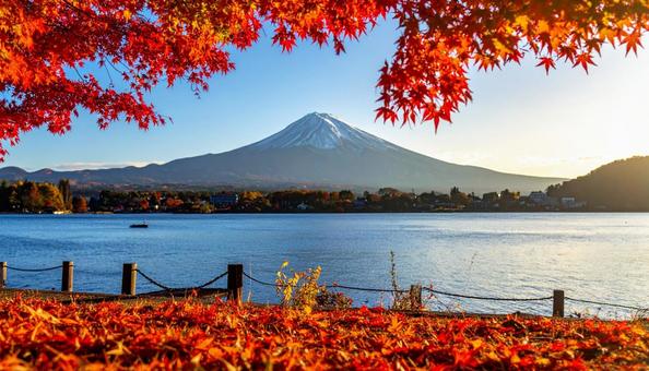 紅葉の中の富士山 3 紅葉の中の富士山 3の写真