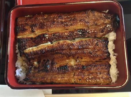 鰻 うな重 鰻 うな重 鰻,うな重,鰻重の写真素材