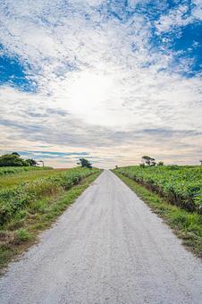 北海道 宗谷丘陵 白い道 北海道 宗谷丘陵 白い道 北海道,宗谷,宗谷丘陵の写真素材