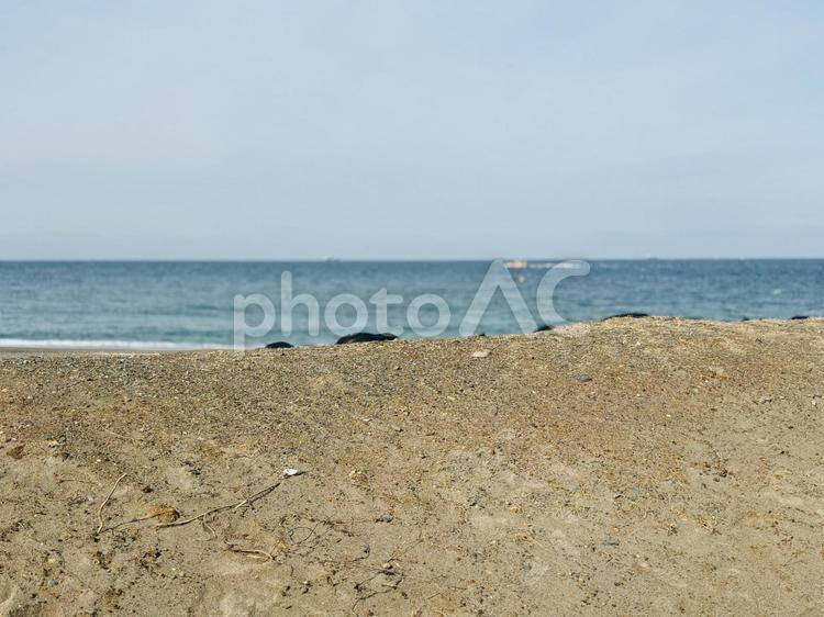 砂浜と水平線2 流木,砂浜,浜の写真素材