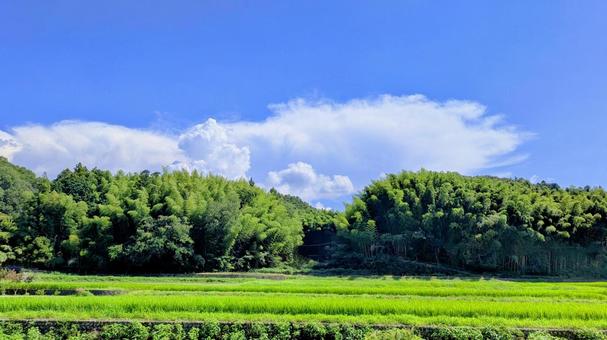 光あふれる里山の午後 光あふれる里山の午後の写真