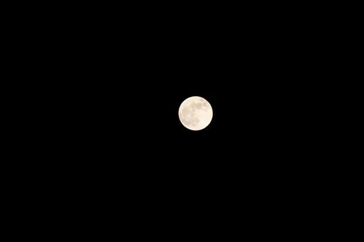 Photo, month, full moon, rabbit, 
