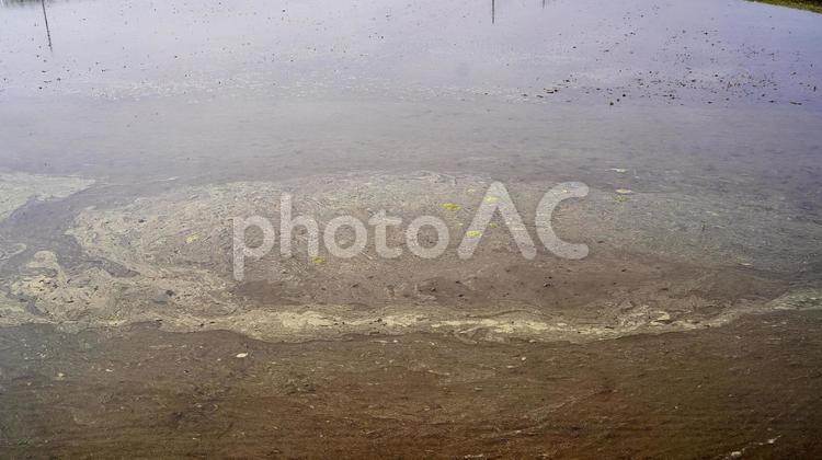 田植えが始まる前の田んぼ 田んぼ,田,田植えの写真素材