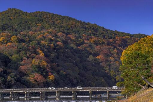 京都　嵐山　渡月橋　紅葉 嵐山,渡月橋,桂川の写真素材