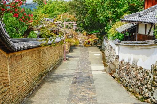 東大寺の裏参道 東大寺の裏参道の写真