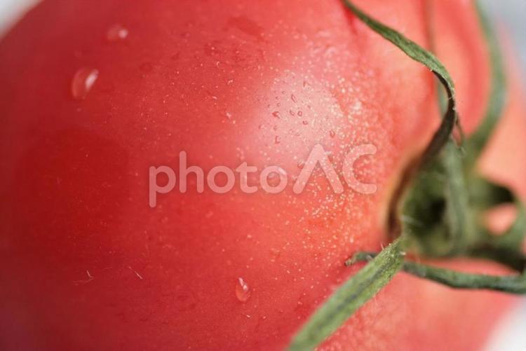 とまと とまと,野菜,夏の写真素材