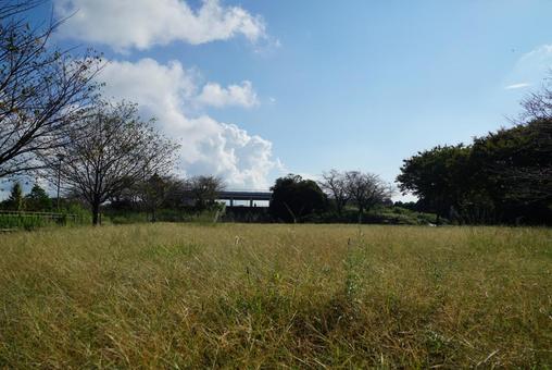 公園の広場 公園の広場 公園,広場,晴れの写真素材