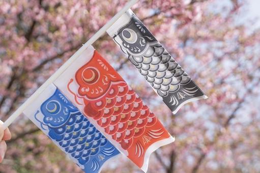 鯉のぼりの旗と春の花 鯉のぼりの旗と春の花の写真