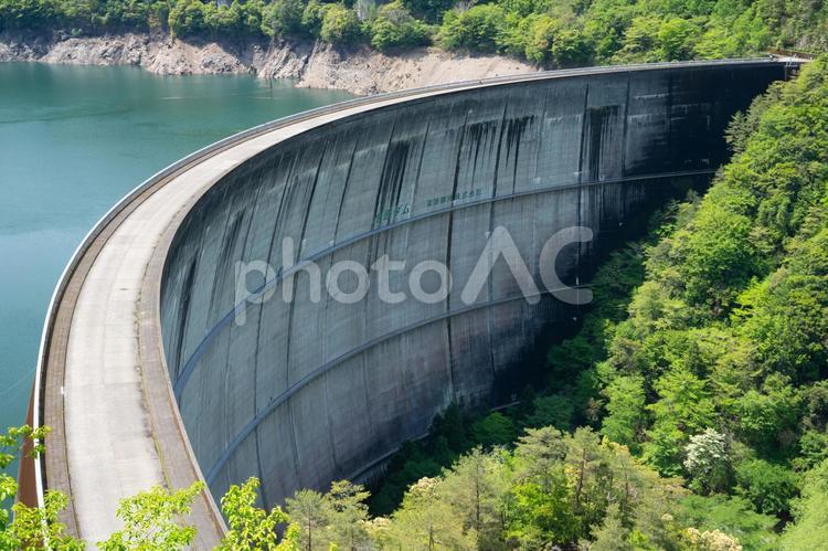 新緑のアーチ式ダム ダム,風景,自然の写真素材
