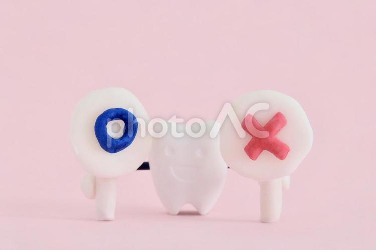 マル印とバツ印をもったミニチュアの歯 歯,マル,バツの写真素材