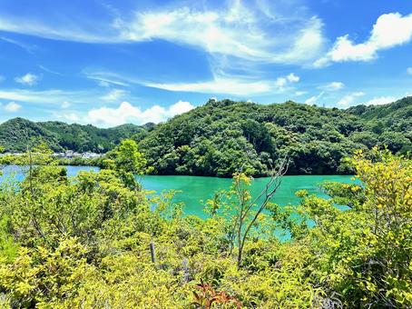 熊野古道 大辺路付近 熊野古道 大辺路付近の写真