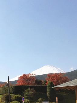 秋の富士山を望む(縦) 秋の富士山を望む(縦)の写真