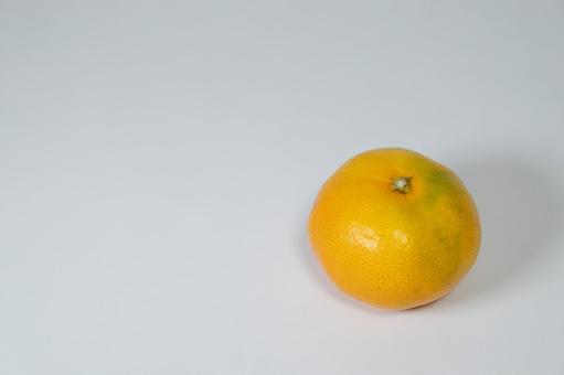 白背景に置かれたみかんとコピースペース 白背景に置かれたみかんとコピースペース みかん,柑橘類,フルーツの写真素材