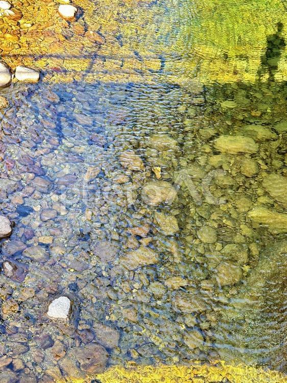新宮市　熊野川　冬の河川 新宮市,熊野川,冬の河川の写真素材