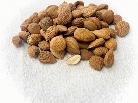 生薬・杏仁 伍 杏仁,キョウニン,苦杏仁の写真素材