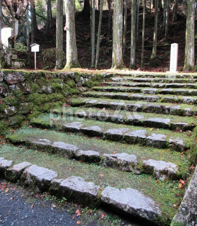 比叡山の石階段 石階段,比叡山,総本山の写真素材